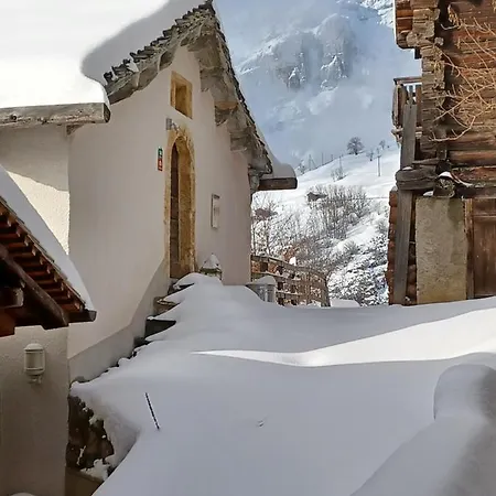 Turilji