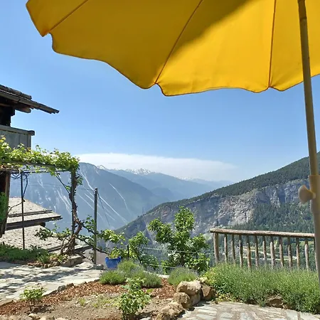 Turilji