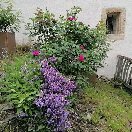 Turilji Albinen